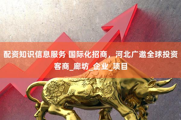 配资知识信息服务 国际化招商，河北广邀全球投资客商_廊坊_企业_项目